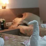 Hotel Rozza 5*
